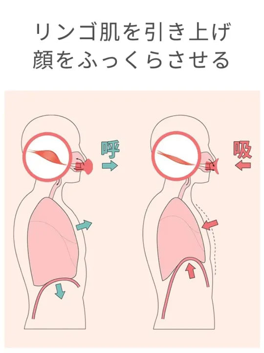 Face Slimming Jawline Trainer